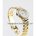 OEM Gold Brass Wrist Watches mujeres con cristales